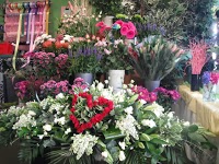 Forever Green Florist and Gifts 1075754 Image 6